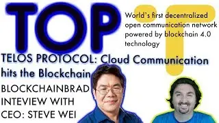 TOP Interview with BlockchainBrad | CEO Steve Wei | This Blockchain means Business | Blockchain 4.0