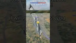 Don't we all enjoy teamkilling sometimes? #warthunder