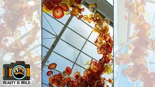 Space Needle & Chihuly Garden and Glass: Stunning 4K Walkthrough