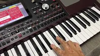 KORG PA 1000 | CARGAR SAMPLES | #2 | VENTA DE SAMPLES