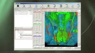 FluoRender Overview