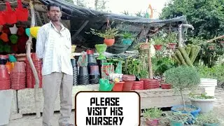 Nursery Tour| Yamuna Khadar| East Delhi| India #supportsmallvendors #afterlockdown #nurseryindelhi