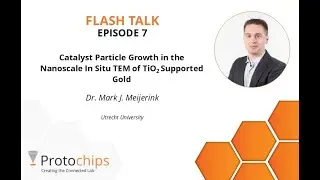 FLASH TALKS: EP #7 - Catalyst Particle Growth at the Nanoscale In Situ TEM of TiO2 Supported Gold
