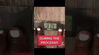 I Lost 20 Pounds in 1 Month (No Exercise)