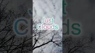 Just Clouds #cloudwatching #clouds #nature #sky #meteorology #nephology #shorts #formations #zen