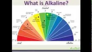 Formula 4 Success Webinars - 4 Simple Steps To Following An Alkaline Lifestyle