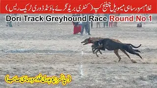Dogs Race || Dori Track Race || Round # 1 || Muhammad wala Fsd || 20-01-2026 #dog