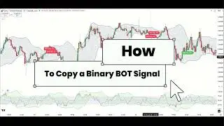 New Operational Logic for Safer Trading Decisions