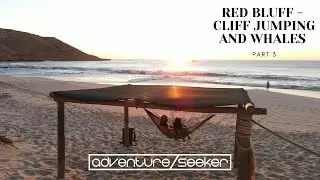 Red Bluff Western Australia   Part 3   Cliff Jumps and Hump Back Whales