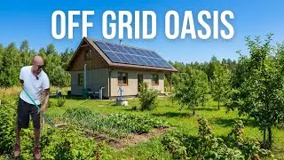 Off grid homestead with solar power, well water, food forest, and a garden!