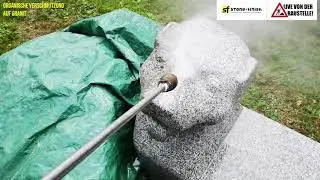 Stone-Finish | Organische Verschmutzungen auf Granit