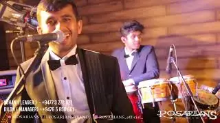 Fireball / Pitbull | Rosarians