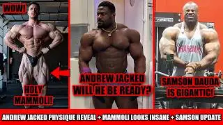 Will Andrew Jacked be in shape? + Andrea Mammoli could win? + Samson Dauda Update + Wildcards + MORE