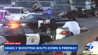2 killers on the run after deadly 5 Freeway shooting. Here's what we know