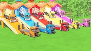 TRANSPORTING 5 COLORFUL  MIXER TRUCKS WITH MAN TRUCKS! | FS22 MERCEDES & MAN TGS