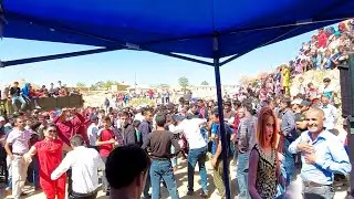 Далери Зарифи туёна Косабулок Ракосачахо мардуми Косабулока девона кадан