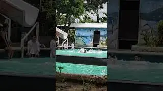 #montalban swimming fall #tres marinas resort #slide in fall