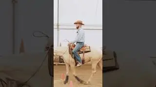 Master your horse's lead change!
