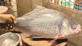 Amazing Catla Carp Fish Cutting Skills In Bangladesh Local Fish Market | Fish Cutting Skills