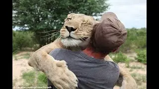 Amazing Animals Hugging People Compilation