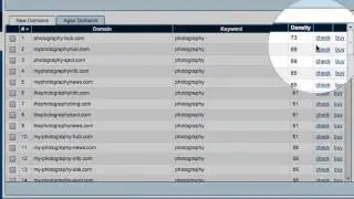 How to Perform a Domain Name Check