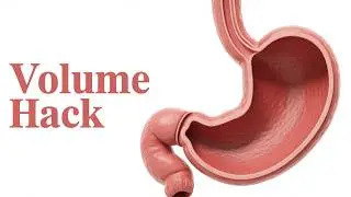 Your Leptin Signals Are Broken (Here's Why)