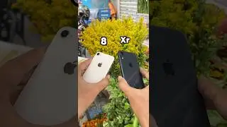 iPhone 8 Vs iPhone Xr || Camera Comparison! #shorts #short