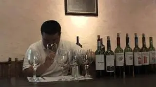 Viu Manent Cabernet Sauvignon Gran Reserva 2011  (5)