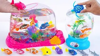 🐰toy asmr🐰 ZURU Robo Alive Fish Tank & ZURU Robo Fish & Fun Aquarium Playset ASMR 🦈Review Toys