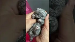 Cute newborn kitten toy #handmade #cute #animal #crochet #kitten #cat #tutorials