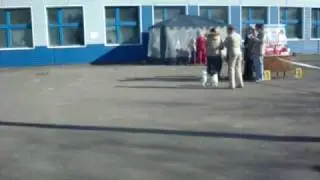 MOV00706