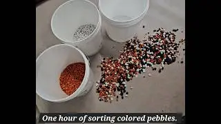 Sorting colored pebbles