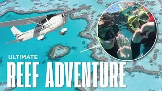 Exploring the Great Barrier Reef: Scenic Flight, Snorkeling, Whitsundays & more!