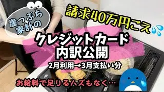 【クレカ沼】みんな40万円あったら何買う？ウチはクレカの支払い！【浪費家|赤字家計|vlog】