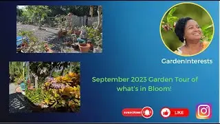 September 2023 Garden Tour of what&rsquo;s in Bloom!