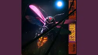 Firefly Sanctuary (Original Mix)