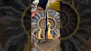 I got ammonite fossil stone and gold #gemstone #crystals #diamond #gold #jade