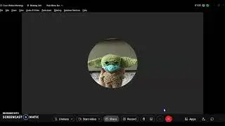 Cisco Webex - Sharing Your Screen