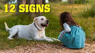 12 Heartwarming Signs Your Dog is Deeply Attached