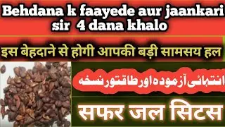 behdana ak nayab buti 10 bimaryon ka ilaaj