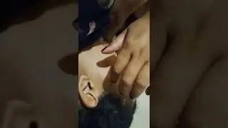 Meu pet não faz xixi nem coco em casa! 