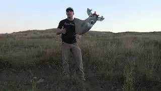 Heads Up Decoy | FAQ Can I use my buck decoy as a doe?