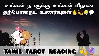 உங்கள் நபருக்கு உங்கள் மீதான தற்போதைய உணர்வுகள்.?💫😶‍🌫️✍️💬🫠🫣💗#tamiltarotreading#nocontactreading