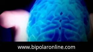 Definition of Bipolar Disorder Blake LeVine