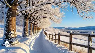 Beautiful Winter Music 2026 ❄️ Anti Stress Music for Relaxation and Mental Recovery