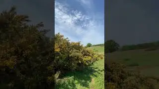#countryside #nature #norfolk