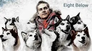 Eight below/TRIBUTE/