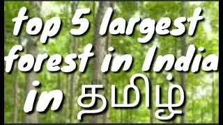 Top 5 largest forest in India  idly kunda in Tamil
