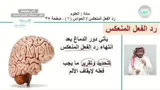 رد الفعل المنعكس / الحواس ( 1 ) - العلوم - ثاني متوسط