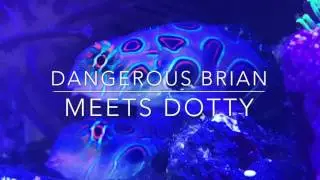 Dangerous Brian gets a friend!